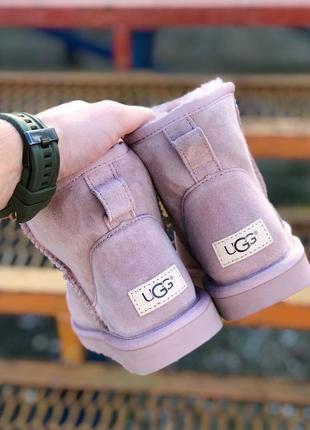 Уггі жіночі замшеві зимні ugg classic pink