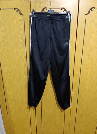 Спортивные штаны брендовые adidas