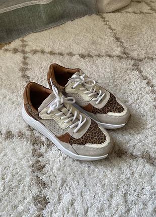Кросівки, леопардові