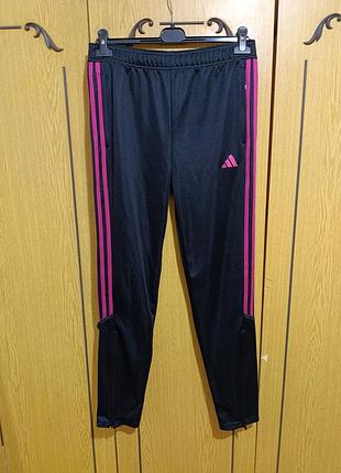 Спортивні штани брендові adidas