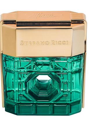 Stefano ricci miami 100 ml чоловіча парфумована вода парфумерія чоловічий парфум parfum оригінал4 фото