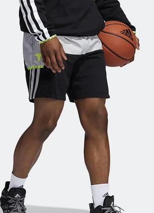 Спорт шорты adidas