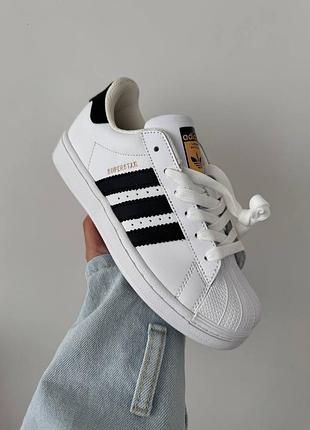 Кросівки adidas superstar white/black