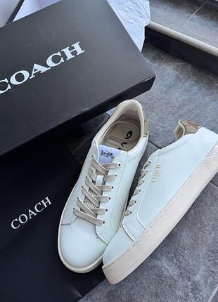 Кеди coach