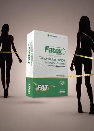 Fatex - комплекс для похудения. 60 таблеток .