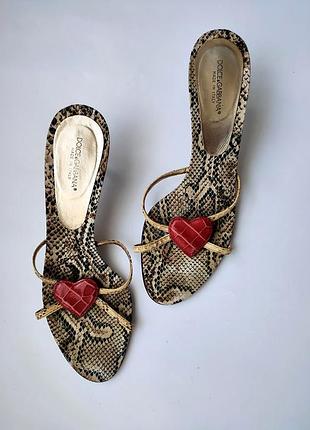 Туфли шлепанцы из питона dolce & gabbana оригинал