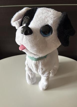 Інтерактивний пес боуї (має стріпсу на лапці)