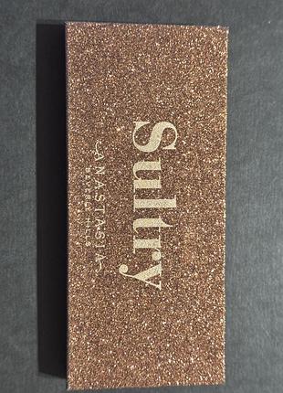 Палетка теней anastasia beverly hills moonchild sultry
