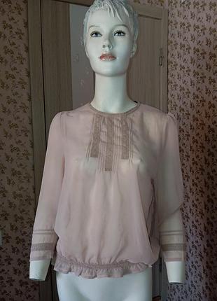 Блуза пудровая прозрачная на пуговицах
