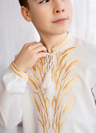 Рубашка вышита для мальчиков вышиванка на парня для мальчика вышиванка вышитые колорки