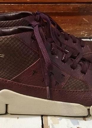 Брендові шкіряні спортивні туфлі clarks бордового кольору з перфорацією