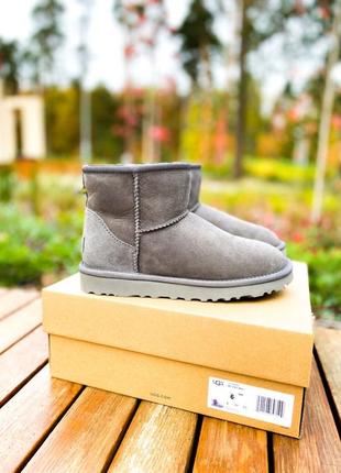 Ugg classic mini grey уггі міні сірі1 фото