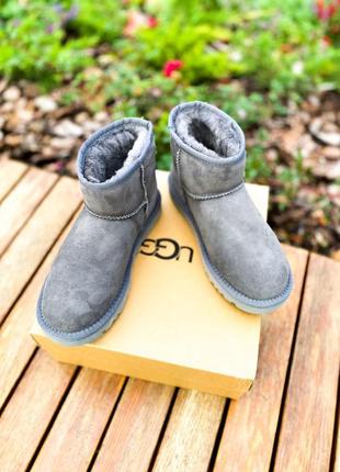 Ugg classic mini grey уггі міні сірі2 фото