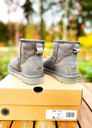 Ugg classic mini grey уггі міні сірі3 фото