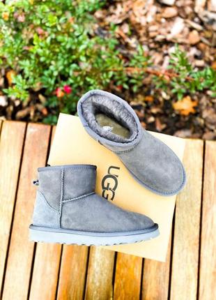 Ugg classic mini grey уггі міні сірі4 фото