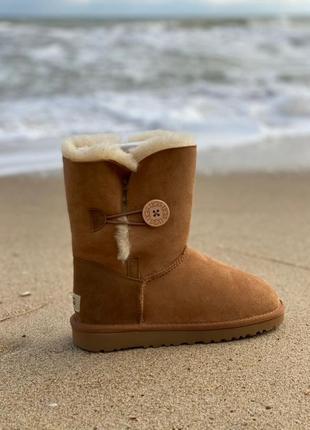 Сапоги женские ugg уги5 фото