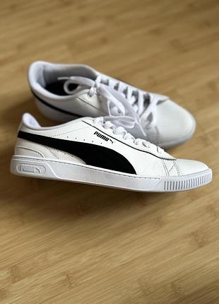 Кросівки Thermal puma
