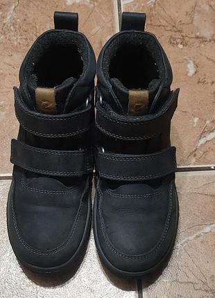 Черевики ecco,на хлопчика