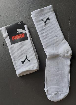 Спортивні високі шкарпетки nike/найк/puma/adidas/ck - 1 пара (білі, чорні)5 фото