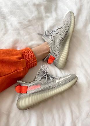 Жіночі кросівки adidas yeezy boost v2 tail light