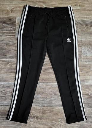 Жіночі спортивні штани adidas