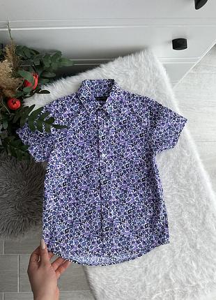 Рубашка в невероятном цвете