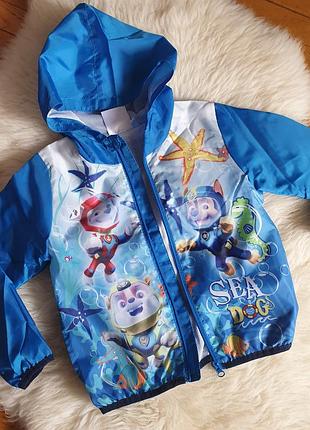Детская ветровка щенячий патруль paw patrol