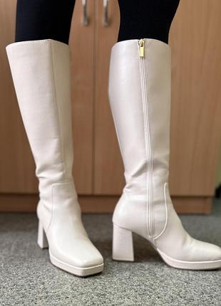 Стильные демисезонные сапоги primark