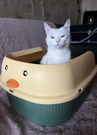 Великий напівзакритий лоток для котів