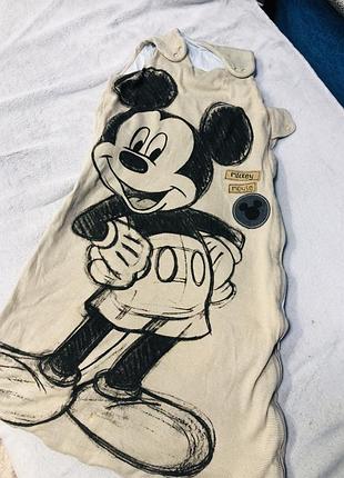 Утеплений спальний мішок з мікі