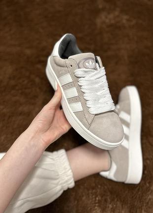 Жіночі сірі бежеві замшеві кросівки adidas campus grey beige взуття адідас кампус