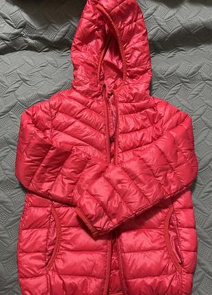 Ветровка (мальчик)