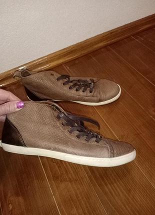 Шкіряні кеди navyboot 38