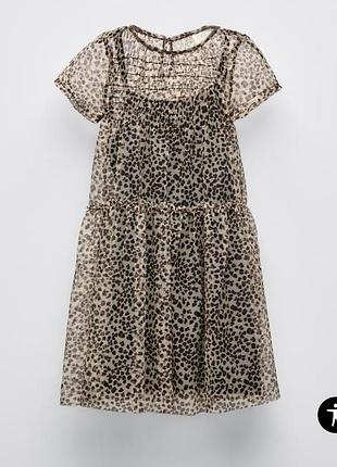 Платье zara 10 лет