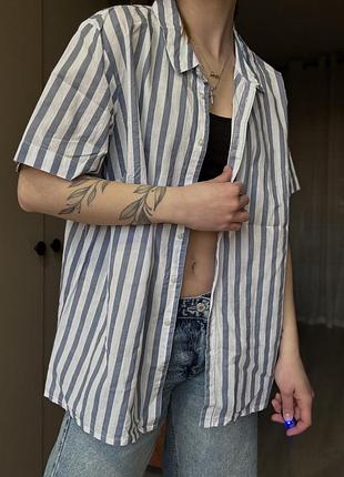 Рубашка / тенниска