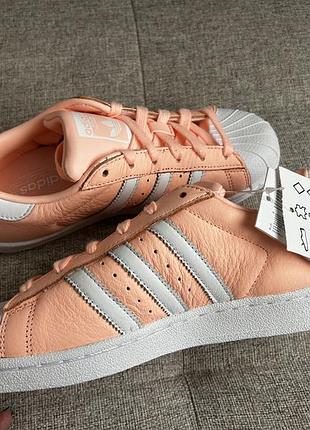 Персиковые кеды adidas superstar5 фото