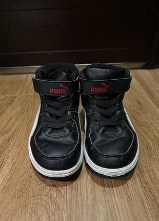 Хайтопы puma