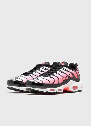 Жіночі кросівки air max plus tn pink