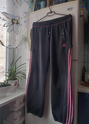 Спортивные штаны, брюки