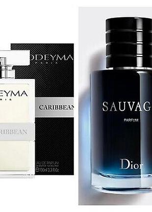 Dior, savage
