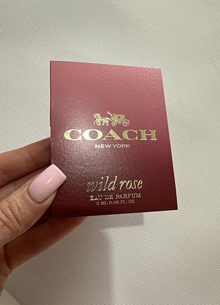 Пробник coach wild rose 2 мл