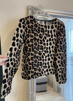 Zara блуза леопард