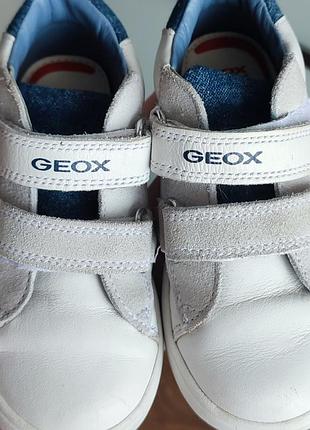 Кеди geox