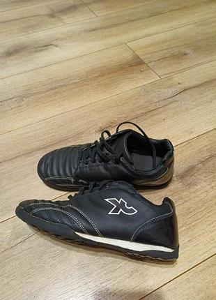 Сороконожки