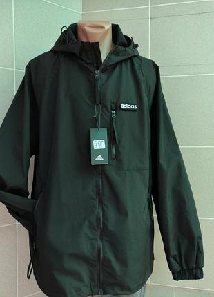 Вітровка чоловіча