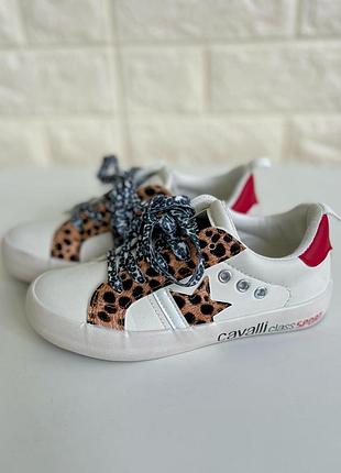 Кеди cavalli 2