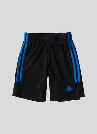 Спортивні футбольні шорти adidas aeroread