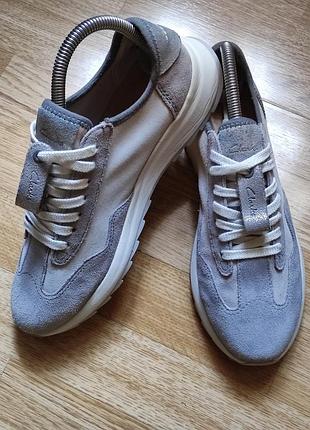 Кожаные кроссовки clarks размер 39,5, 25,5 см по стельке
