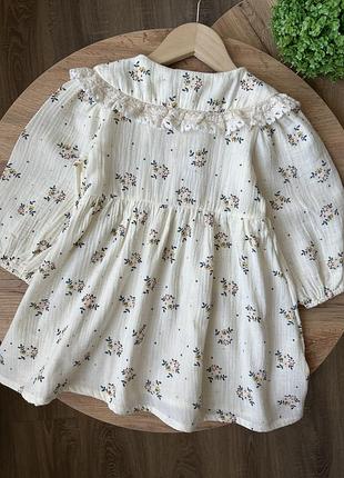 Сукня з комірцем, плаття, платтячко2 фото