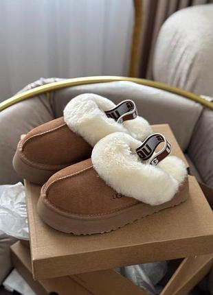 Ugg 7